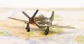 P51D Mustang lėktuvo modelis su stoveliu