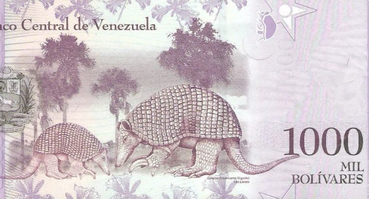 1000 Venesuelos bolivarų banknotas, UNC