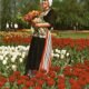 Atvirukas „Olandija gėlių žydėjimo metu“, Nyderlandai