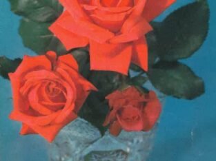 Atvirukas „Rožės vazoje“, TSRS